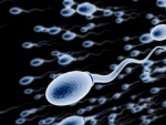 Thiết bị lựa chọn tinh trùng: Hy vọng mới điều trị vô sinh
