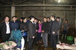 Kiểm tra, giám sát tại Lò mổ gia súc ở xã Thạch Lạc và Thạch Thắng, huyện Thạch Hà