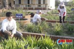 Vườn thuốc nam ở Trạm Y tế xã Thạch Hưng đã có sản phẩm dược liệu cung cấp cho thị trường.