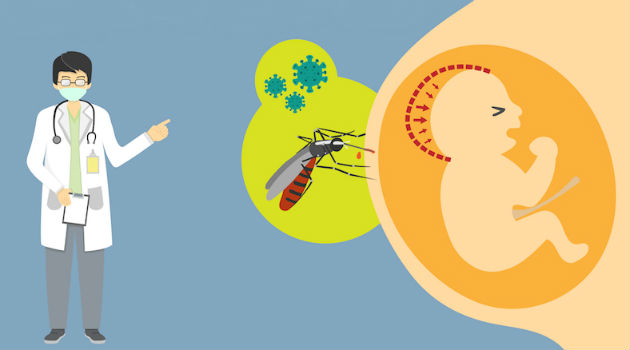 Phụ nữ có thai trong 3 tháng đầu cần đặc biệt chú ý phòng chống virus Zika