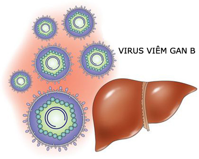 Bệnh viêm gan B có đáng lo?