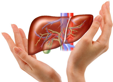Nóng bức – làm gì để giải nhiệt cho gan?