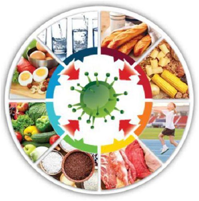 Dinh dưỡng cân bằng giúp nâng cao sức đề kháng chống lại tác nhân gây bệnh.